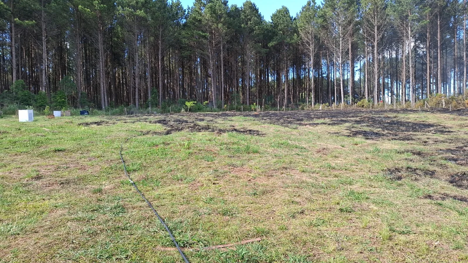 Foto: CBMSC/Divulgação