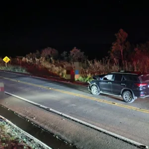 Animal solto na pista causa acidente em Capão Alto