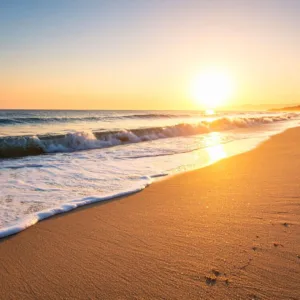 Relatório de balneabilidade: saiba como estão as praias de Santa Catarina nesta semana (19)