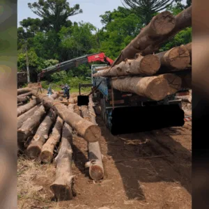 Foto: CBMSC/Divulgação