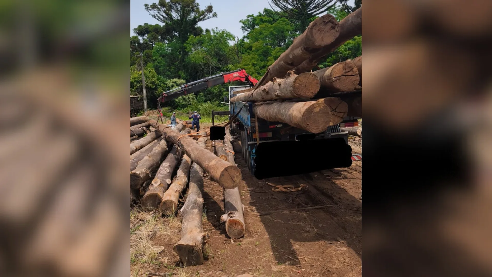 Foto: CBMSC/Divulgação