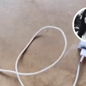 Adolescente de 16 anos morre após celular explodir enquanto carregava