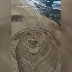 Artista cria desenho na areia em homenagem ao Cão Orelha em praia de SC; veja
