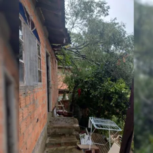 Árvore cai sobre casa em São José e causa destruição parcial da residência