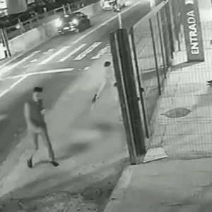 Cachorro é morto com dez tiros em frente a ponto de ônibus