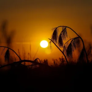 Calorão retorna e SC terá fim de semana típico de verão, com temperaturas acima de 30º C