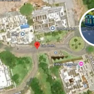 Cão Orelha foi flagrado pelo Google Maps Entenda coincidência na localização