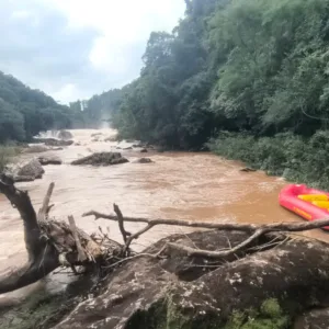 Corpo de criança desaparecida é encontrado em Rio; após 12 dias de buscas no Oeste de SC - Foto: CBMSC