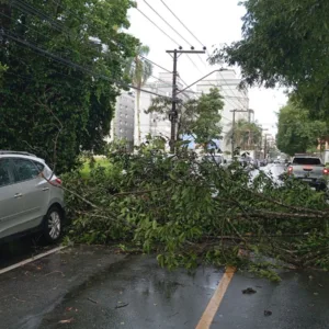 Defesa Civil atende ocorrências e alerta para novos temporais em Joinville (2)
