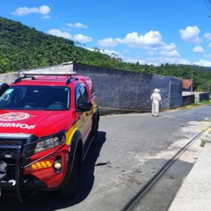 Ataque de abelhas deixa homem ferido durante limpeza de terreno em Gaspar | Foto: divulgação / Bombeiros 