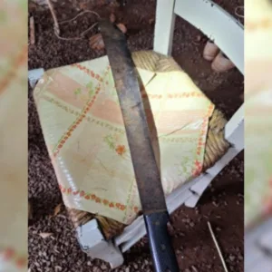 Homem é internado após tentativa de homicídio pelo filho em SC