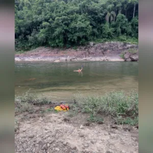 Homem morre afogado ao tentar atravessar rio no Oeste de SC