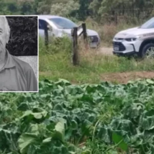 Identificado homem encontrado morto em plantação de morangas no interior de Palmeira | Foto: Reprodução