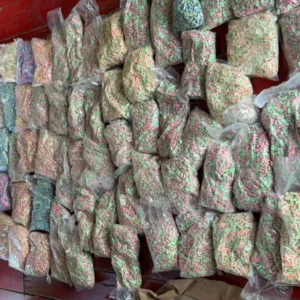 Jovem é preso com 120 mil comprimidos de ecstasy destinados a eventos eletrônicos em SC - Foto: PM