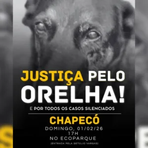 'Justiça pelo Orelha' manifestação será feita em Chapecó | Foto: Redes Sociais/Divulgação