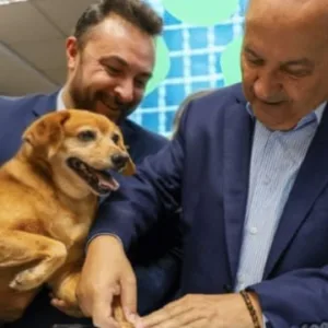 Lei do Cão Comunitário é sancionada em Santa Catarina | Foto: Divulgação