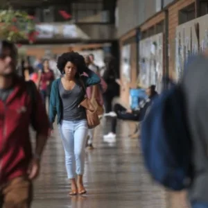 Lei que extingue cotas raciais em universidades de SC vira assunto nacional - Foto: Canva/Ilustrativa