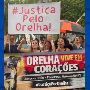 Manifestantes realizam protesto em frente ao TJSC por justiça para o Cão Orelha