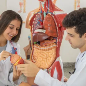 Medicina da Uniplac lidera ranking das universidades catarinenses no Enamed 2025