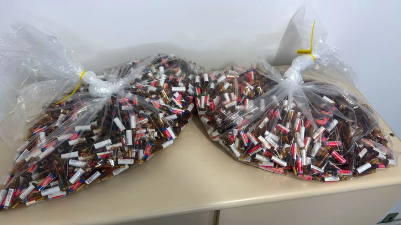 Operação apreende R$ 1 milhão em 'chips da beleza' e hormônios injetáveis em SC
