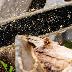 Homem é preso após tentar matar o próprio pai com motosserra em SC