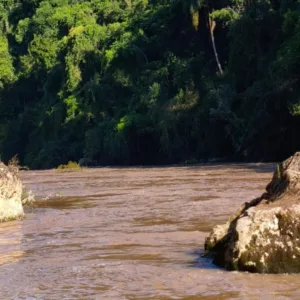 Correnteza forte e mata fechada dificultam buscas por criança desaparecida em rio de SC - Imagem: CBMSC