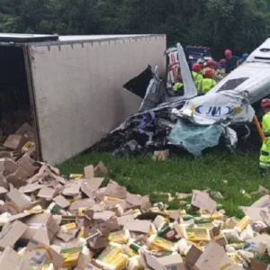 Polícia prende suspeitos de assalto que causou acidente com seis mortos na BR-116