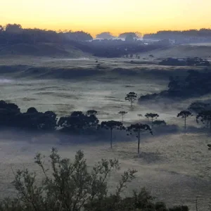 Serra Catarinense registra 2ª geada de 2026 com mínima de 0,9°C em pleno janeiro – Foto: Wagner Urbano/ Cedido ao SCC10