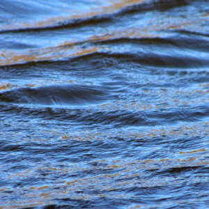 Homem sai para pescar e é encontrado morto em rio em SC - Foto: Ilustrativa/Canva