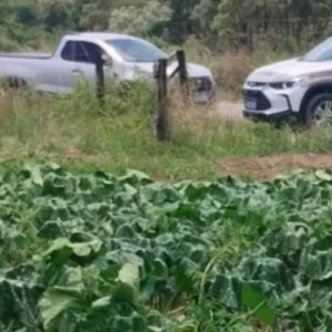 Homem é encontrado morto em plantação de morangas na Serra de SC