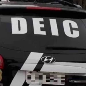 Polícia Civil de SC indicia torcedora do Avaí por racismo contra torcedores do Remo