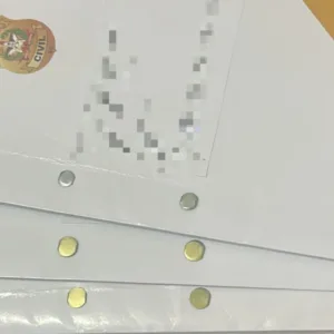 Polícia investiga falsificação para liberar motoristas de app em cidade de SC- Foto: PCSC