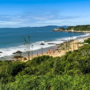 Prefeitura de BC contesta decisão judicial e reafirma regras sobre Praia do Pinho | Foto: divulgação/ Prefeitura BC 