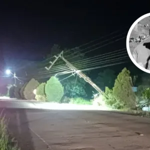 Professor morre após carro bater em poste e pegar fogo em SC