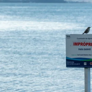 Relatório do IMA indica 35% das praias de SC impróprias