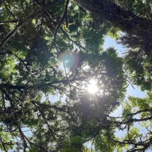 SC terá calor acima dos 35°C e temporais nos próximos dias; veja quando -Foto: SCC10