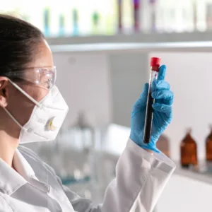 Saiba como está a situação do Vírus Nipah em SC