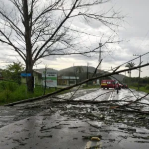 São Francisco do Sul registra microexplosão, diz Defesa Civil
