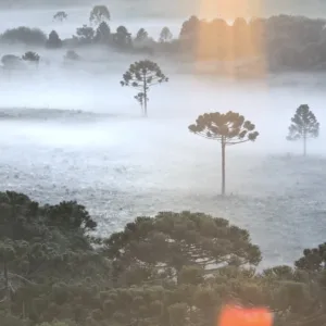 Nunca antes visto: Vale do Caminhos da Neve registra 5ª geada de janeiro | Foto: Mycchel Legnaghi