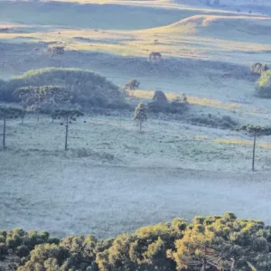 Verão gelado; Vale do Caminhos da Neve amanhece coberto por gelo