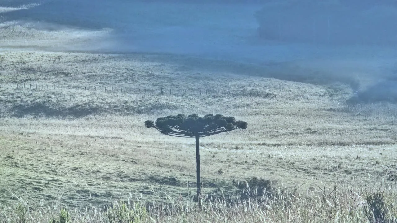 Verão gelado; Vale do Caminhos da Neve amanhece coberto por gelo