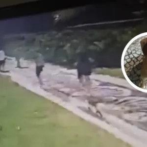 Vídeo inédito mostra adolescentes com Cão Caramelo