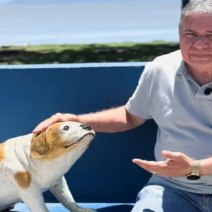 Cão Orelha pode ganhar estátua após maus-tratos em Florianópolis