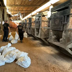 700 kg de drogas são incineradas em SC
