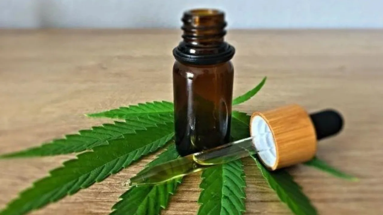 Anvisa aprova cultivo de Cannabis medicinal no Brasil