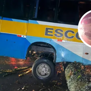 Árvore cai sobre rodovia e micro-ônibus colide na SC-305 - Foto: CBMSC