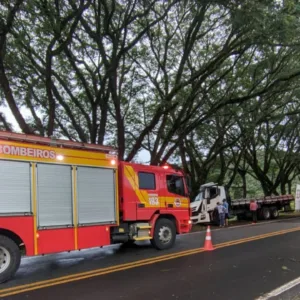 Caminhão colide contra árvore na SC-350 em Alfredo Wagner