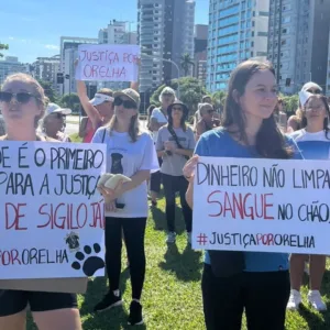 Cão Orelha cidadãos de SC vão às ruas protestar por justiça | Foto: divulgação 