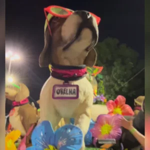 Cão Orelha é homenageado durante desfile na Sapucaí