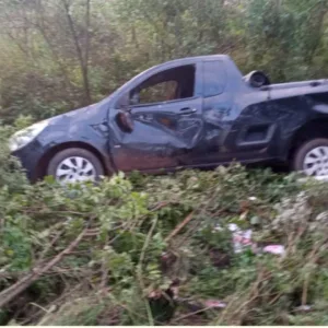 Capotamento em rodovia mobiliza bombeiros de Rio das Antas | Foto: reprodução